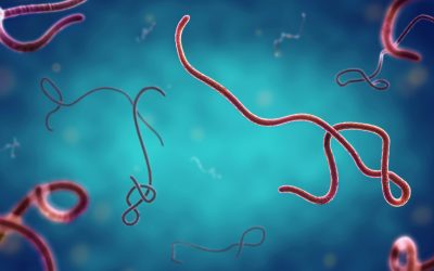 3 Important Takeaways from Emory University Hospital’s Ebola Controversy