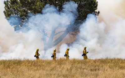 Wild-Land Interface Fires – Planning, Community Relationships and Response Capability