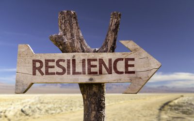 What Is This Thing We Call Resilience?