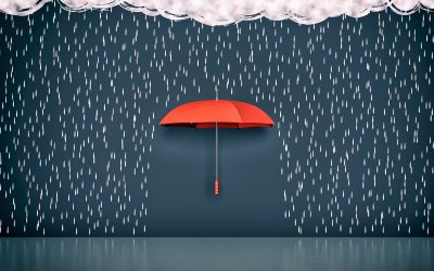 Crisis Management Weaknesses – “An Umbrella in a Manhole”