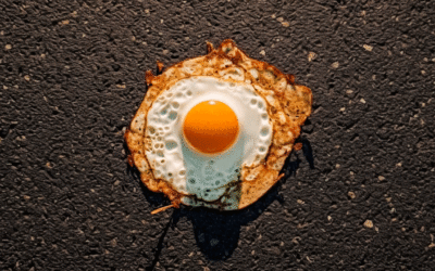 Feeling the Heat: The Impacts of Heat on a Community and Its Businesses  