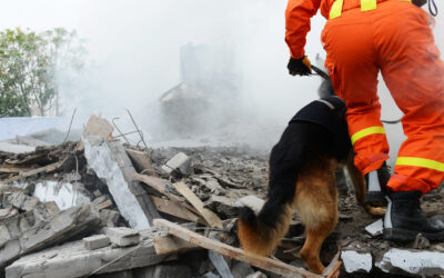The Role of Tabletop Exercises in Earthquake Preparedness